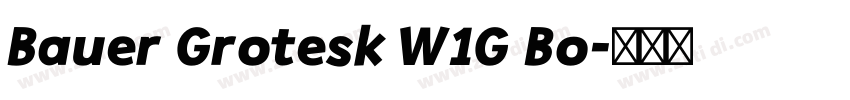 Bauer Grotesk W1G Bo字体转换